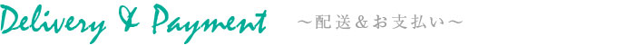 ハワイアンウェディング ハワイアン&インディアンジュエリー スリーピングビューティー